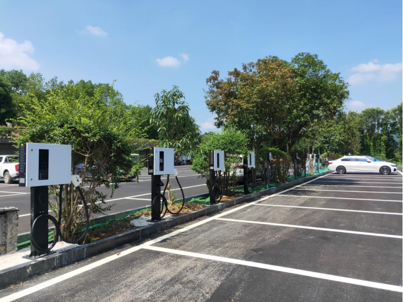 Row of outdoor EV charging stations in a green, tree-lined parking area, highlighting accessible renewable energy infrastructure for electric vehicles.